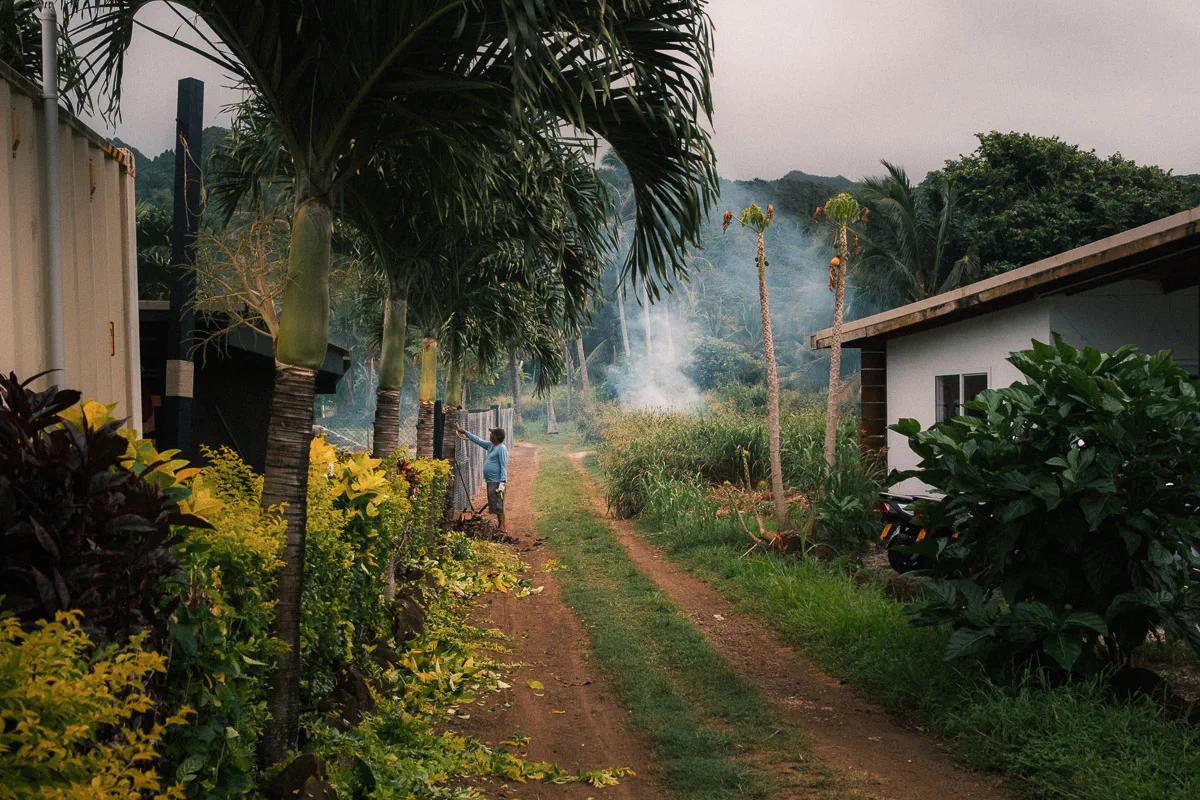Local resident tending a fire on a dirt road lined with palms and village houses, Rarotonga, Cook Islands