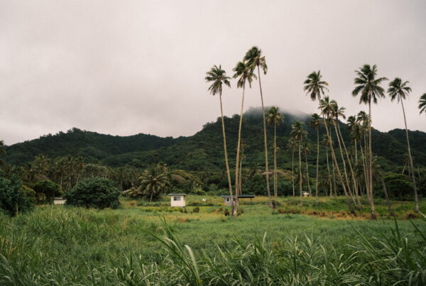 Tall palm trees and small huts in front of Rarotonga's jungle-covered mountains under overcast skies, Cook Islands