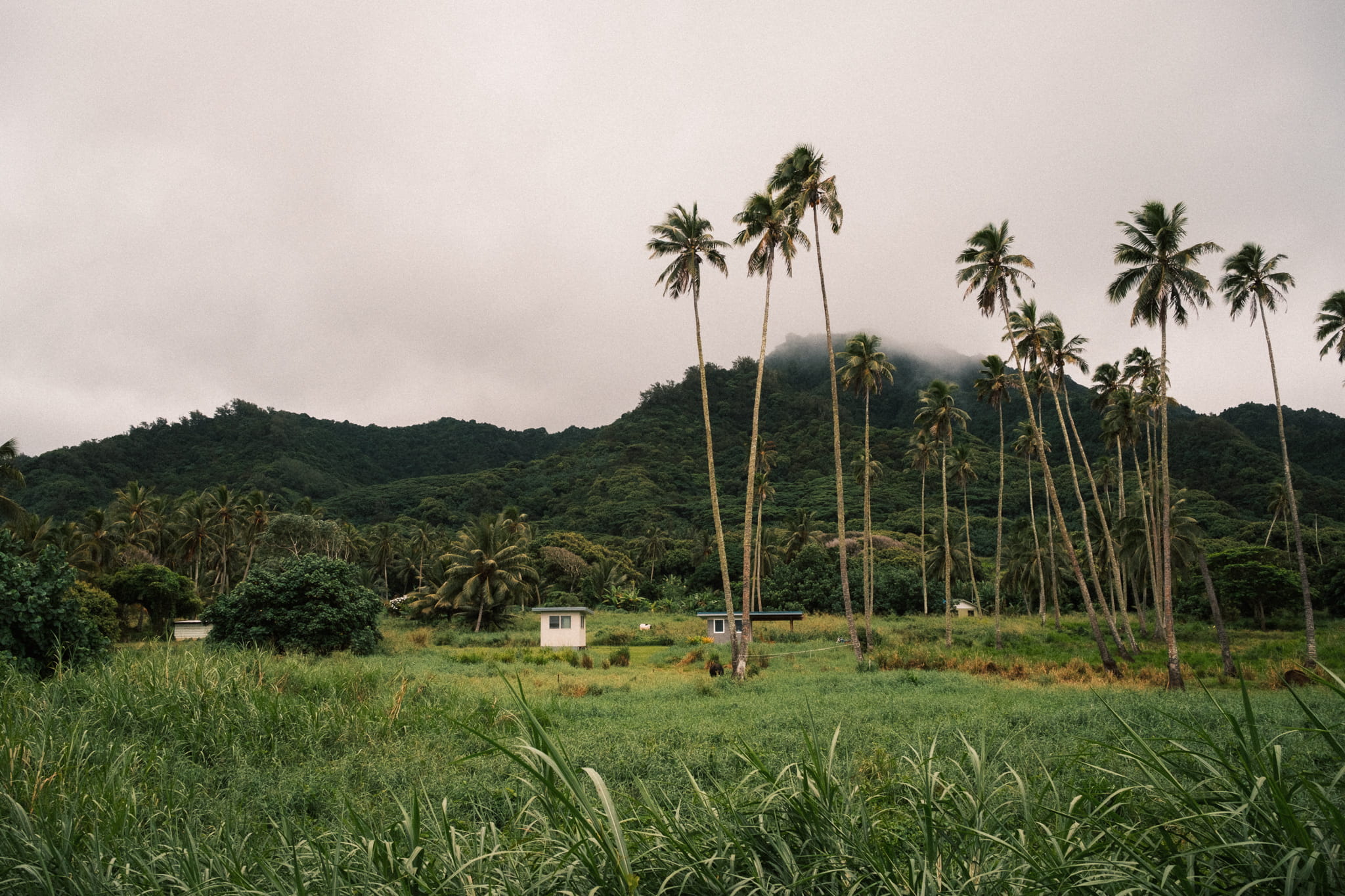 Rarotonga: Where island time meets a culture of kindness